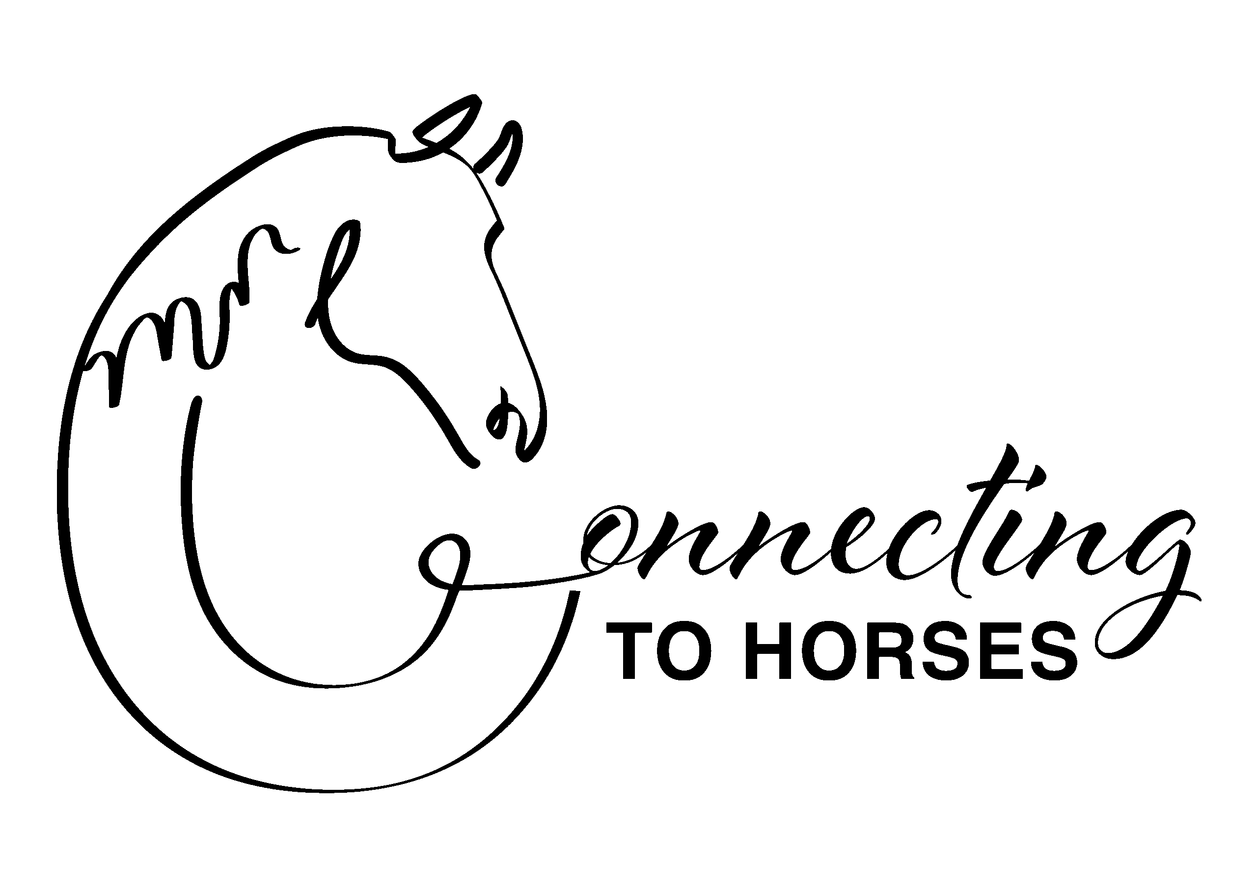 dark logo