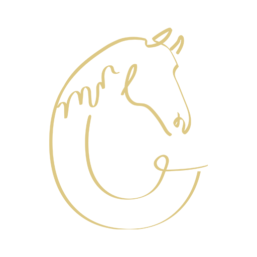 Connecting to Horses